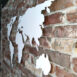continents-white-2.jpg