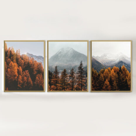 DEEP-FOREST-golden frames