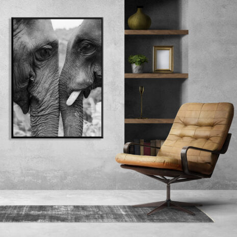 Elephats-1-framed-2.jpg