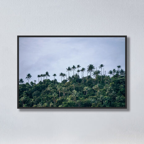 Palm-forest-3-1.jpg