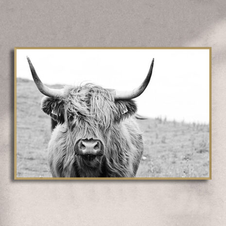 highland-cow-golden frame