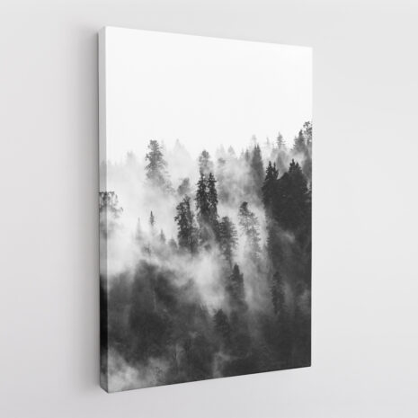 Monochrome-forest-canva